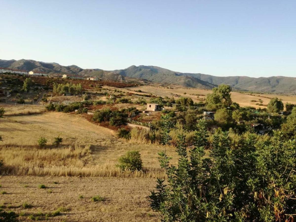 Casa Vacanza Il Mandorlo Domusnovas Dış mekan fotoğraf