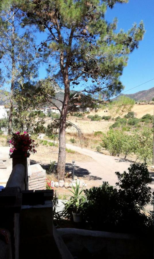 Casa Vacanza Il Mandorlo Domusnovas Dış mekan fotoğraf