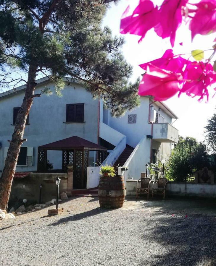 Casa Vacanza Il Mandorlo Domusnovas Dış mekan fotoğraf